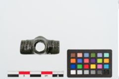 Foto von Bronzeriemendurchzug (NHMW-PRAE-023917)